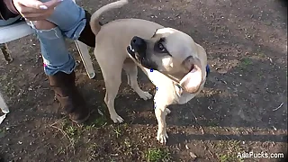 31335 asia porn videos